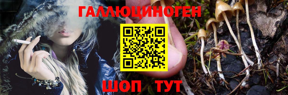 Галлюциногенные грибы мицелий Владивосток