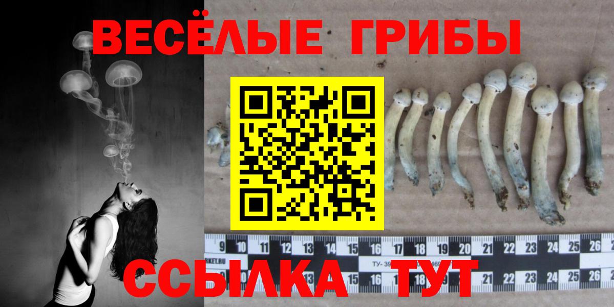Владивосток  Галлюциногенные грибы мицелий  как найти   Вход с VPN 
